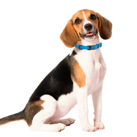 MiMu Small Silicone Dog Collar - Blue 17in Stylish Dog Collar with Clasp Buckle {6}