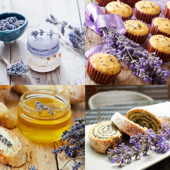 1 Lbs French Dried Lavender Buds - Lavandula Dentata, 16 oz Value Pack - Highland Lavender Flower Buds for Culinary, DIY Projects, and Aromatherapy, LV-U-3 {2}