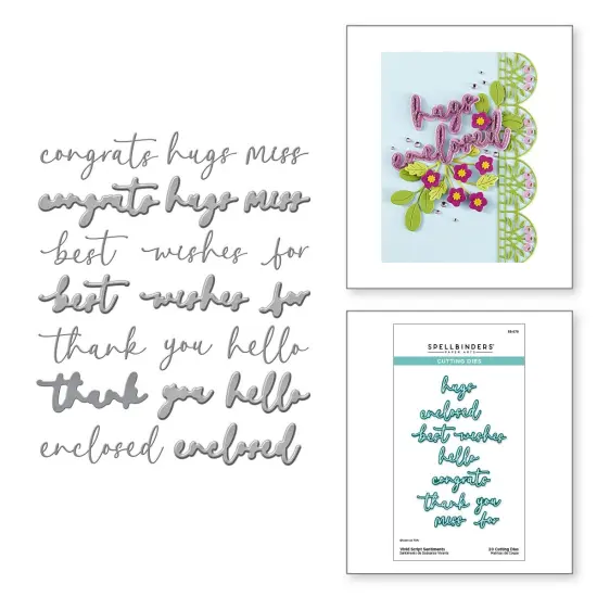 Spellbinders Etched Dies Vivid Expressions Collection-Vivid Scrip Sentiments {5}