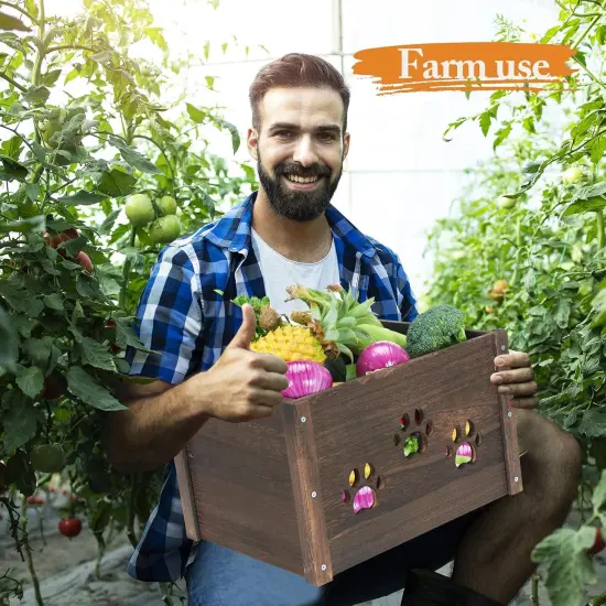 2 Pack, Hollow Claw Wooden Crates for Display {2}