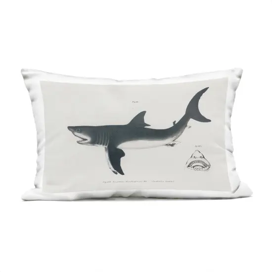 Stupell Industries Detailed Shark Diagram Outdoor Printed Pillow design by Phillipa Katz, 14 x 7 x 20 {1}