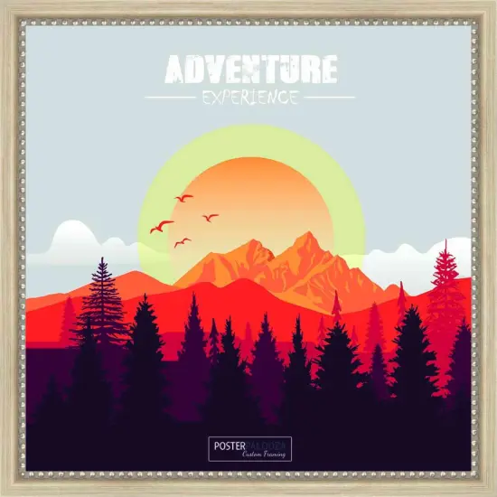 Minimalist Silver Picture Frame - UV Acrylic, Foam Board Backing, Hanging Hardware {5}