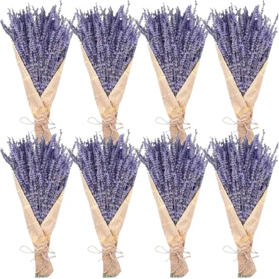 8 Bundles Dried Lavender Bundles, Natural Dried Lavender Flowers 1200 Stems 16&ldquo; for Home Weeding Decoration Flower Arrangements Photo Props Home Decor {1}