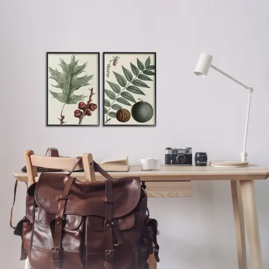 Stupell Industries Tree Leaves & Nuts 2pc Framed Giclee Wall Art Set Design by Graffi*tee Studios {2}