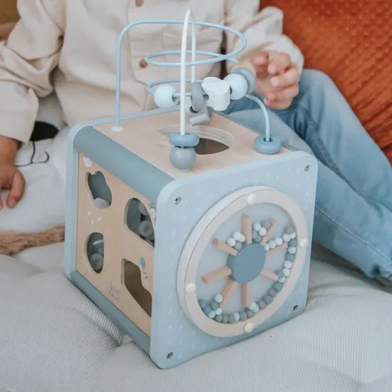 Label Label: 5-In-1 Activity Cube - Blue - Wooden Toy, Shape Sorter, Cog Wheels, Track Maze, Xylophone, Bead Labyrinth, Baby & Toddlers Ages 1+ {5}