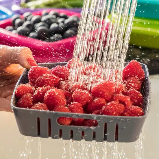 Hutzler 3-in-1 Bitty Box Berry Keeper, Berry Colander & Saver Container, 9oz / 1 Cup Capacity Gray {3}