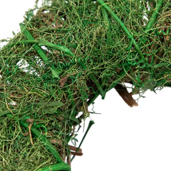 Northlight Green Moss and Twig Artificial Spring Wreath, 12-Inch {7}