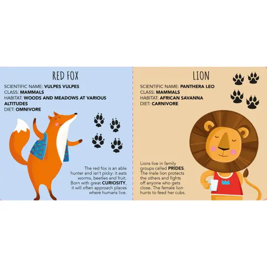 Sassi: Edu-Blocks - Animals - 10 Stacking Cubes & Booklet Set, Nature-Colored Tracks-Shapes-Numbers-Animals, Learn & Play Education, Kids-Toddlers 2+ {6}