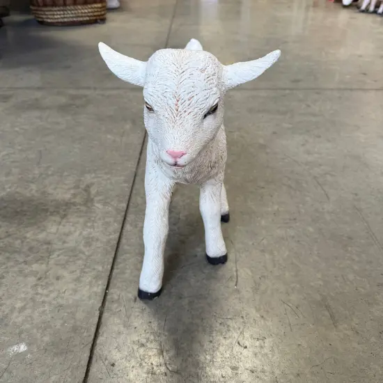 Baby Goat Life Size Statue {5}