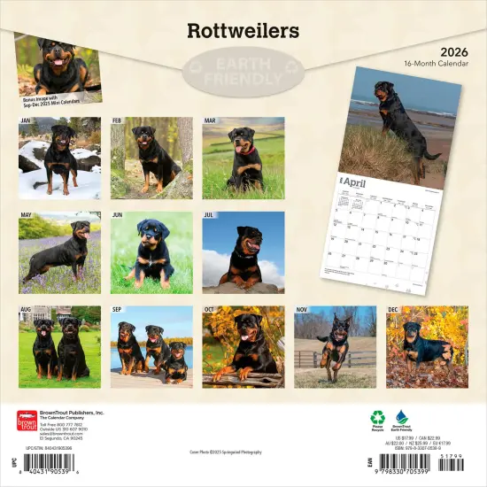 Rottweilers | 2026 12 x 24 Inch (Hanging) Monthly Square Wall Calendar | Plastic-Free {2}