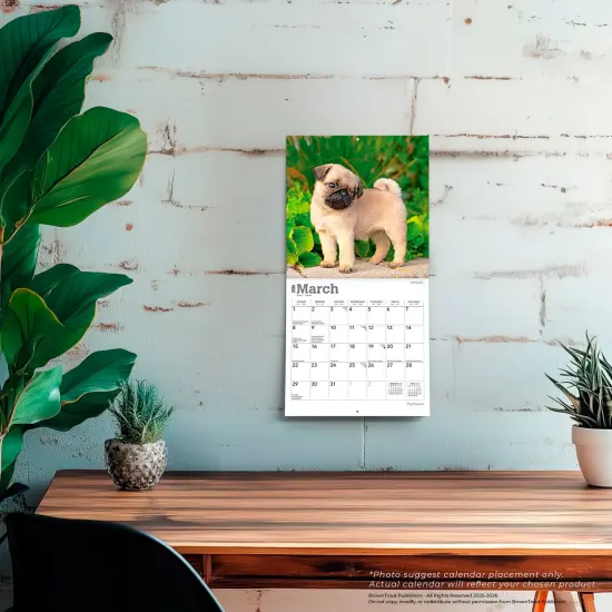 Pug Puppies | 2026 7 x 14 Inch (Hanging) Monthly Mini Wall Calendar {5}