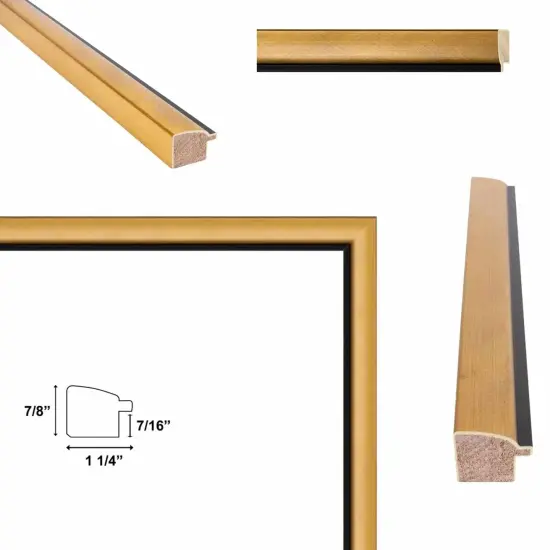 Contemporary Gold With Black Picture Frame 27x40 frame {4}