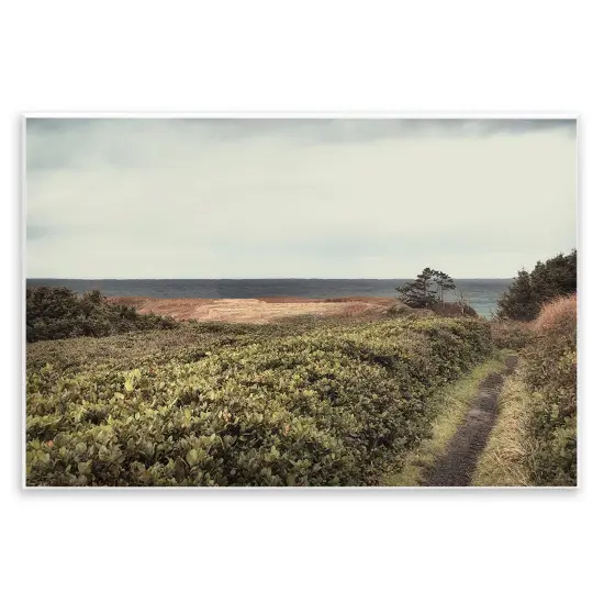 Stupell Industries Serene Coastal Pathway Wall Plaque Art Design by Andy Amos {1}