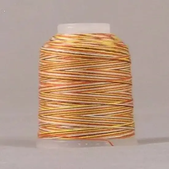 Jeans Stitch #3VA - Earthtone Variegated Mini Cone {1}