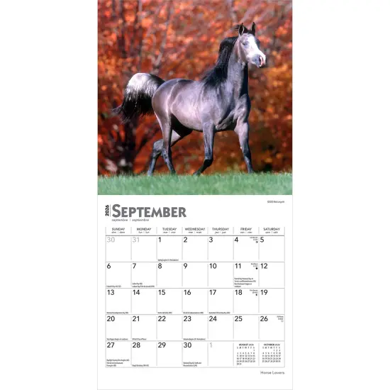 Horse Lovers | 2026 7 x 14 Inch (Hanging) Monthly Mini Wall Calendar {4}