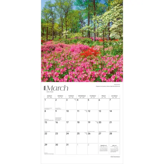 Old Dominion | Virginia Places | 2026 12 x 24 Inch (Hanging) Monthly Square Wall Calendar | Plastic-Free {3}