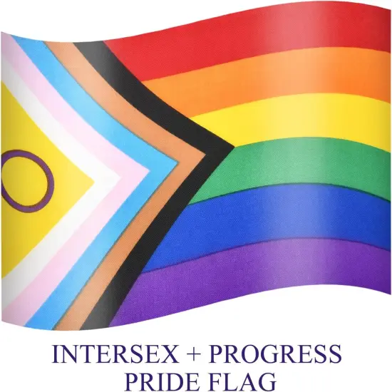 20 Pieces 5 x 8 Inches Small Intersex Inclusive Progress Pride Flag Sticks - Handheld Progress Pride Flags, Mini LGBTQ Rainbow Gay Flag for Outdoor LGBT Parades, Rainbow Pride Month Party Decorations {4}