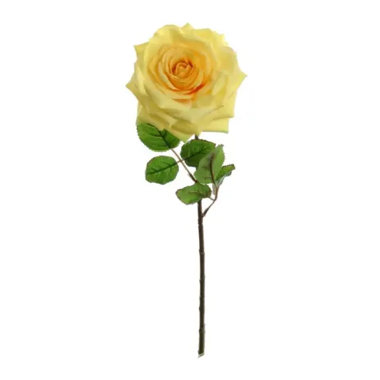 20" Open Rose Stem - 4 PACK {1}
