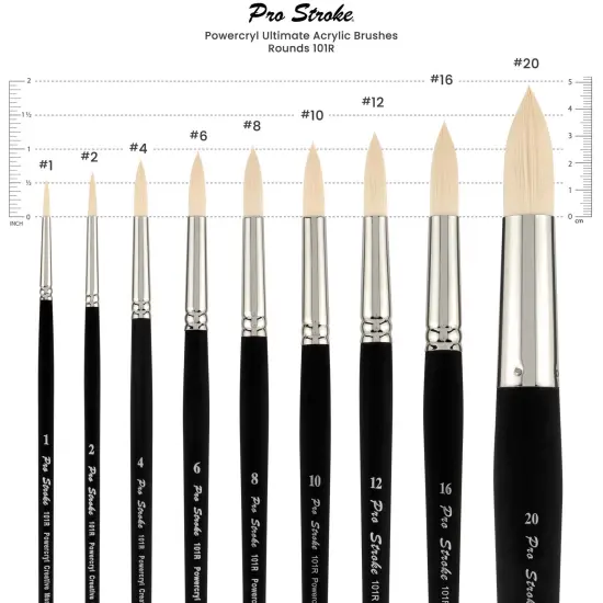 Creative Mark Pro-Stroke Powercryl Acrylic Paint Brushes - Rounds Value Set of 5, Synthetic Paint Brushes for Artists, Seamless Nickel-Plated Ferrules, Matte Black Wooden Handle, Soft-Touch Grip {4}