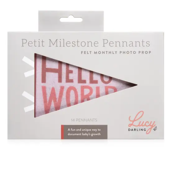 BLUSHING MEADOW PETIT MILESTONE PENNANT {3}