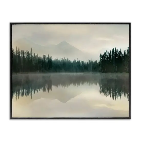 Stupell Industries Foggy Lake Forest Landscape Framed Giclee Art Black Frame {1}