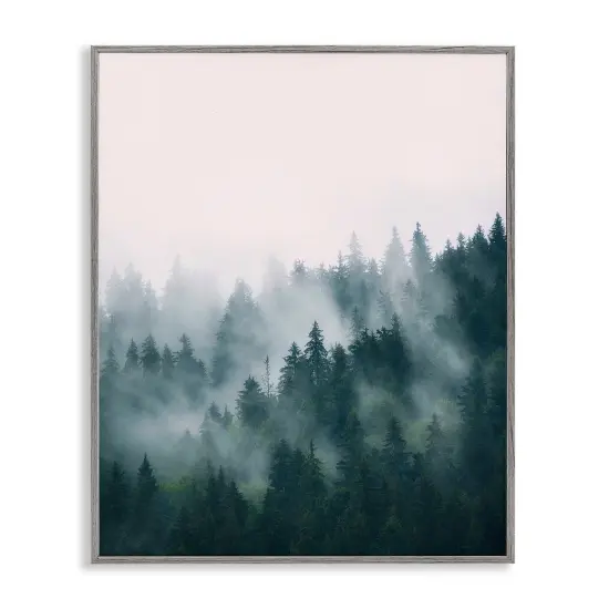 Stupell Industries Misty Forest Trees Framed Giclee Art Gray Frame {1}