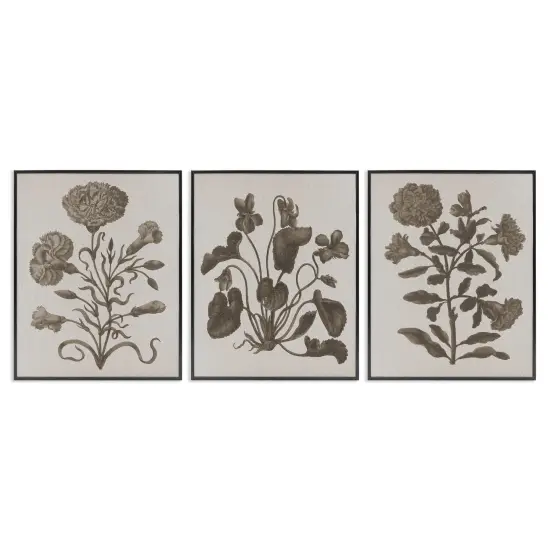 Stupell Industries Vintage Country Botanicals 3pc Framed Giclee Wall Art Set Design by Lil' Rue {1}