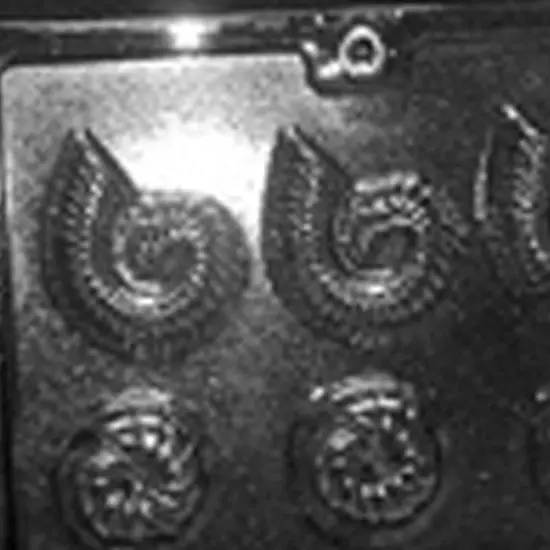 Shell Assortment Chocolate Mold {4}