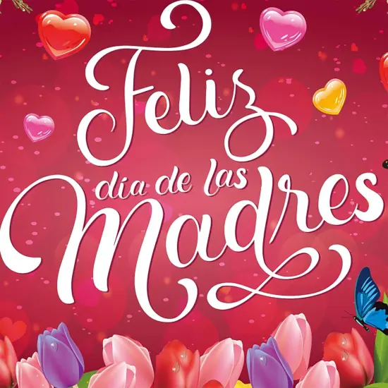 Rose Red Feliz D&iacute;a De Las Madres Backdrop Banner 71 x 45 Inch {3}