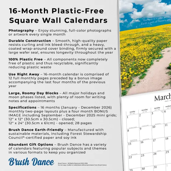 Pathways | 2026 12 x 24 Inch (Hanging) Monthly Square Wall Calendar | Plastic-Free {6}