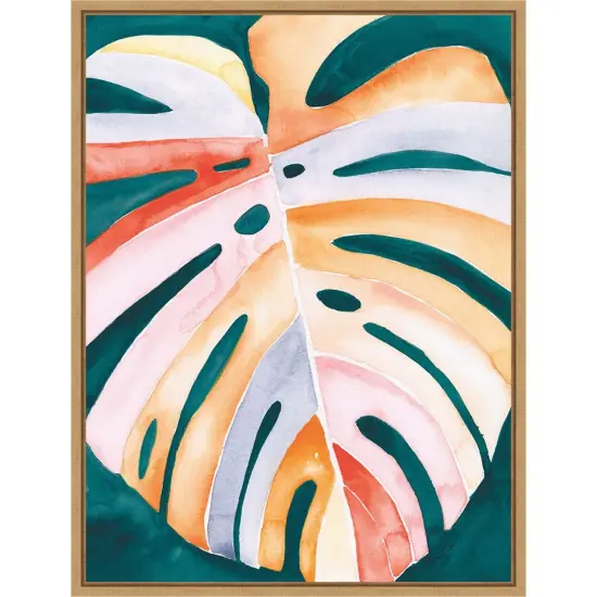 Multicolor Monstera I by Jennifer Paxton Parker Framed Canvas Wall Art {1}