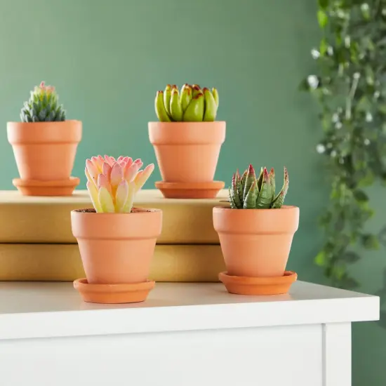 16-Pack Small Terracotta Pots with Saucers and Drainage Hole, 2.2 x 2.2 x 1.9 Inches Paintable Pottery for Succulents, Plants, Flowers, Cactus, Garden Nursery, and Wedding Decor {4}