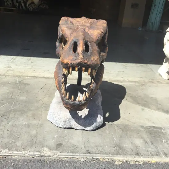 T-Rex Dinosaur Skull Head Life Size Statue {4}