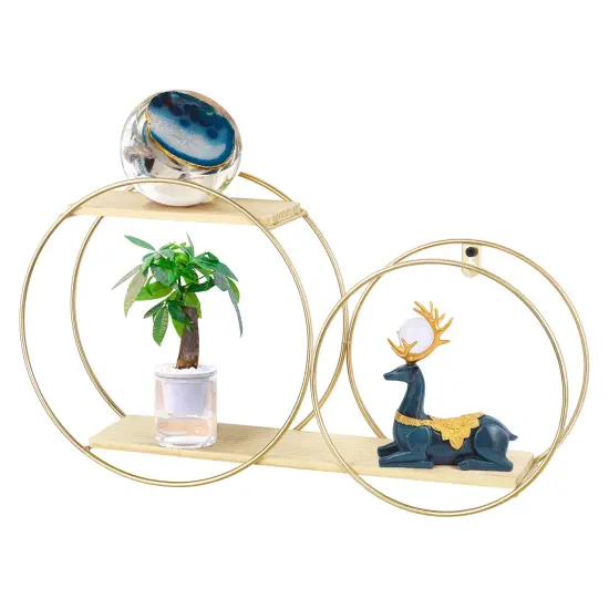 Floating Shelves Circular Metal Hold Plants Photos Home Decor Ornaments {1}