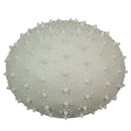 8.5" Resin LED Sea Urchin Accent Lamp - Nautical Decor {1}