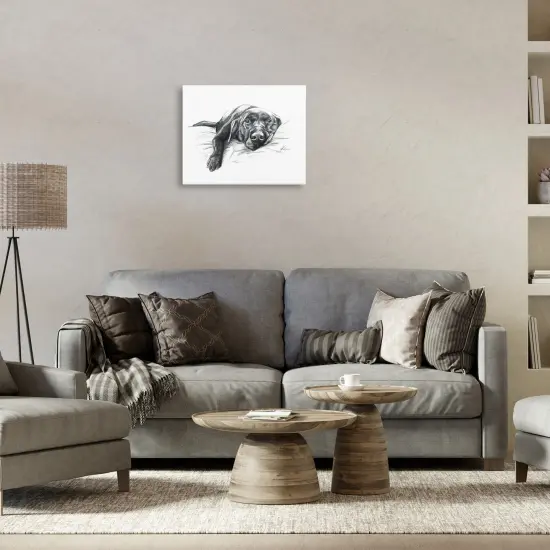 Stupell Industries Naptime Black Labrador Canvas Wall Art Design by Lindsay Kivi Fine Art {2}