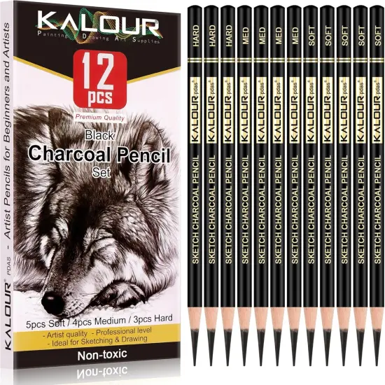 Professional Charcoal Pencils Drawing Set -12 Pieces Soft {1}