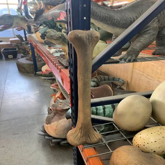 Small Dinosaur Bone Life Size Statue {5}