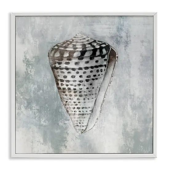 Stupell Industries Organic Cowrie Shell Framed Giclee Wall Art Design by Eli Jones {1}