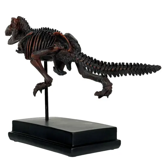 Tyrannosaurus Rex Skeleton Statue T-Rex on Museum Mount {5}