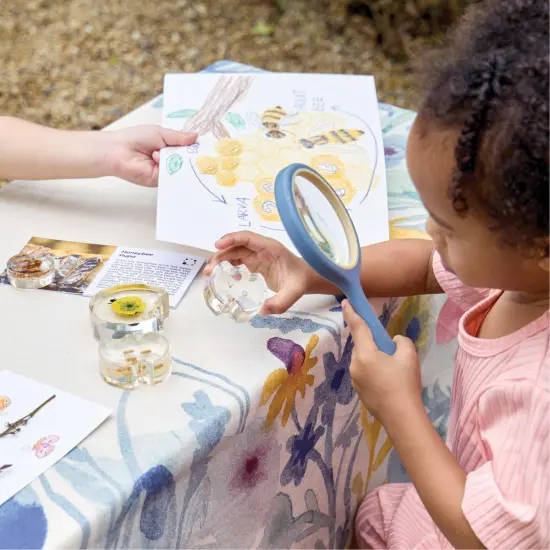 Kaplan Early Learning Company Specimen Life Cycle Puzzles - Honey Bee {5}