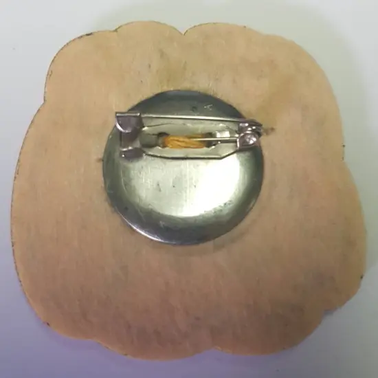 Pumpkin Counted cross stitch kit 5579A {2}