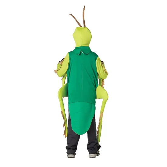 Playful Grasshopper Costume for Kids with Antennae Headpiece {2}