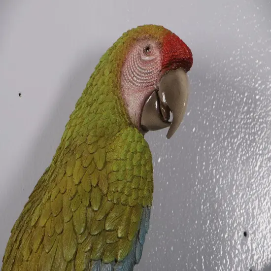 Macaw Buffon Lover Parrots Life Size Statue {5}