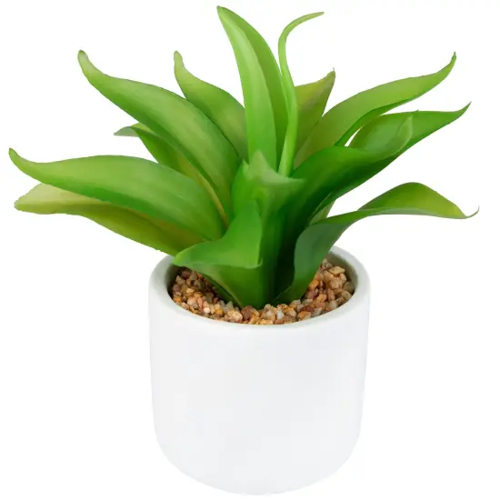 Northlight Artificial Mini Foxtail Agave Plant in a White Pot - 8" Green {5}
