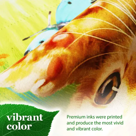 G128 Kitten Butterfly Flowers Garden Flag 12x18 In Double Sided Spring Yard Garden Lawn Decoration {6}