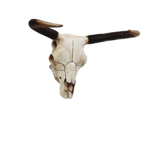 Small Bull Skull Life Size Statue {1}