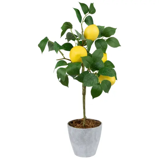 Northlight Artificial Potted Mini Lemon Tabletop Tree - 20" Yellow {5}