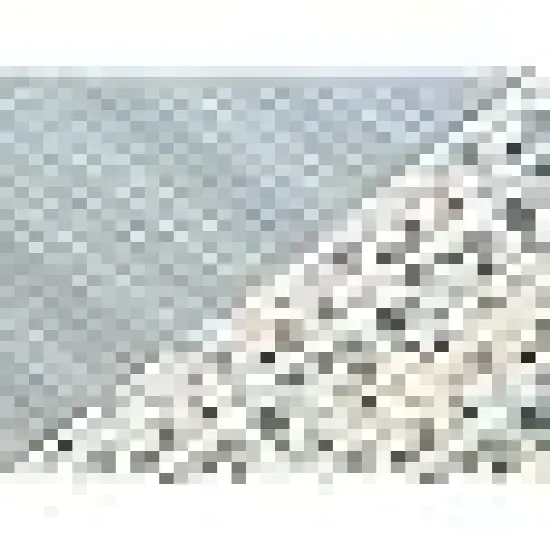 Quarters Fabric Bundles for Sewing & Quilting, Multicolor {4}