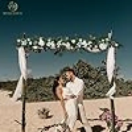 Rose Flower Garland with Lights for Wedding Arch {2}